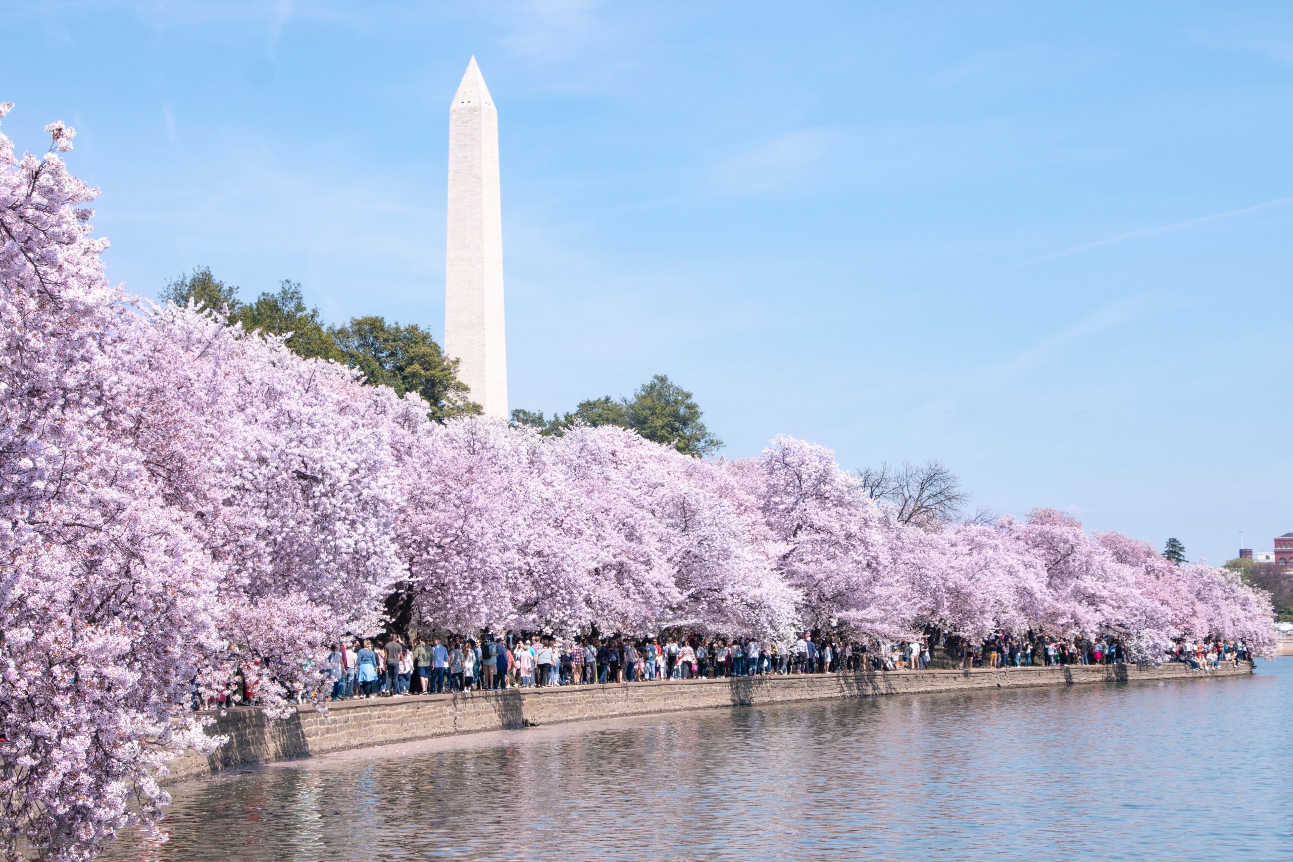 best things to do in Washington